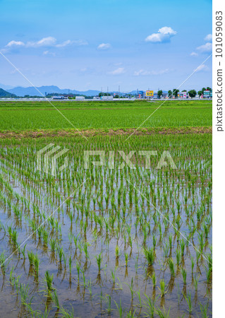 Rural scenery near the roadside station Nishikata in the early summer season 101059083