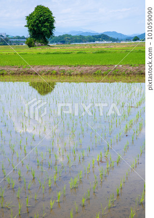 Rural scenery near the roadside station Nishikata in the early summer season 101059090