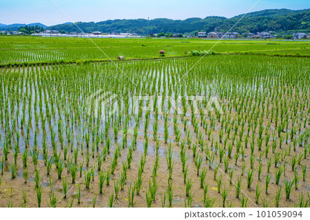 初夏路邊站西方附近的鄉村風光 初夏路邊站西方附近的鄉村風光 101059094