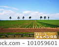 有馬鈴薯田的童話山北海道 101059601