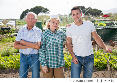 Friendly family weed potatoes on the field 101060619