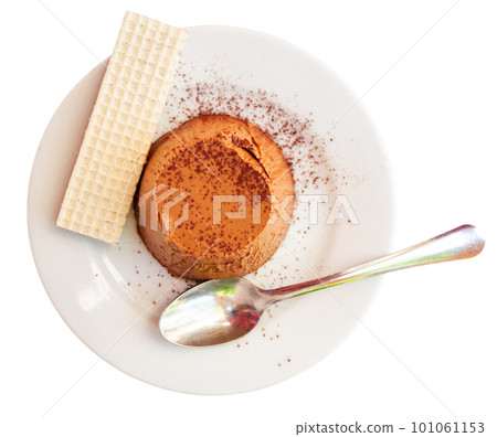 Panna cotta with chocolate served on plate with wafer Panna cotta with chocolate served on plate with wafer 101061153