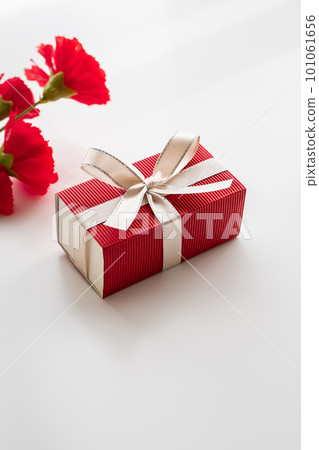 Mother's Day gift and red carnation on white background - stock photo Mother's Day gift and red carnation on white background - stock photo 101061656