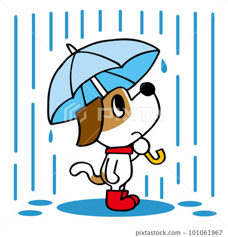 傑克羅素梗狗在雨中打著傘 傑克羅素梗狗在雨中打著傘 101061967