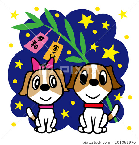 傑克羅素梗狗 Tanabata Orihime 和 Hikoboshi 101061970