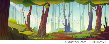 Footpath in summer forest on sunny day 101062473