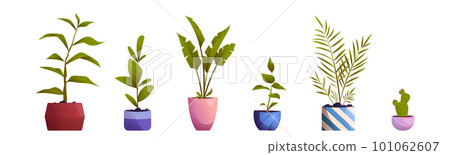 Cartoon set of potted flowers and trees on white 101062607