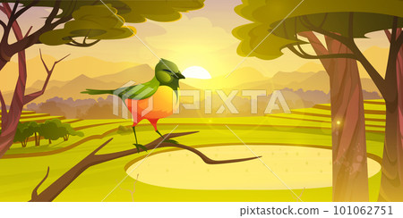 Sunrise in forest with green bird on branch vector 101062751