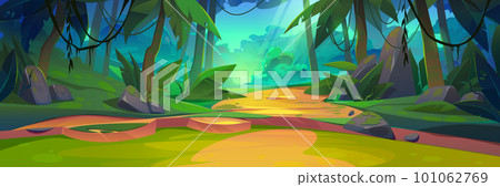 Summer jungle forest landscape, with sun light ray 101062769