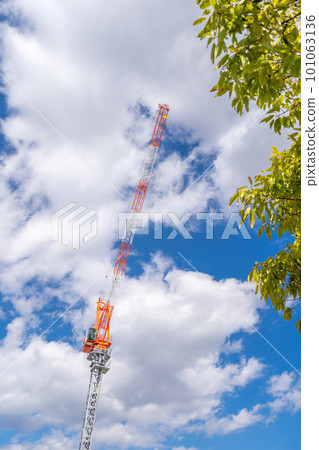 塔吊 Aozora 街道 樹木 101063136