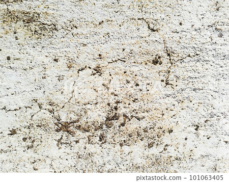 Old cement wall grunge background 101063405