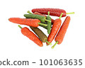 fresh long pepper (Piper retrofractum Vahl) isolated on white background 101063635