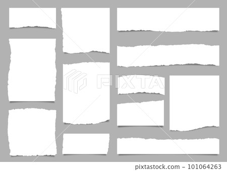 White torn paper rip pieces of sheet edge, note scrap or notebook pages, vector backgrounds. Notepad torn paper for message note, page or banner and cardboard blank ripped piece strips White torn paper rip pieces of sheet edge, note scrap or notebook pages, vector backgrounds. Notepad torn paper for message note, page or banner and cardboard blank ripped piece strips 101064263
