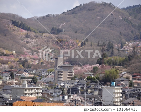 Landscape of springy satoyama 101064413