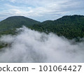 Aerial view cloud move at forest at hill 101064427