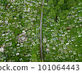 Aerial view of green lush Muslim cemetery 101064443