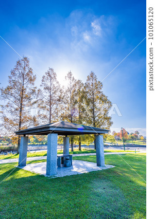 Saga Prefectural Forest Park with lawns and benches against the backdrop of clear autumn weather Saga Prefectural Forest Park with lawns and benches against the backdrop of clear autumn weather 101065120
