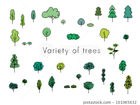 Vector illustration of a wide variety of cute trees drawn with simple lines 101065632