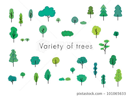 Vector illustration of a wide variety of cute trees drawn with simple lines 101065633