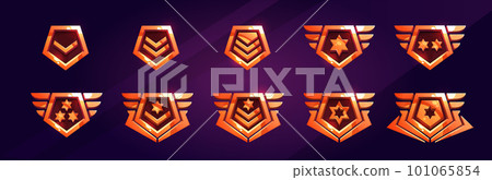 Military rank badges, army insignia icons Military rank badges, army insignia icons 101065854