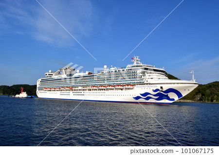 豪華遊輪“鑽石公主號” 豪華遊輪“鑽石公主號” 101067175