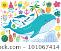 Whale and summer sea illustration material collection 101067414