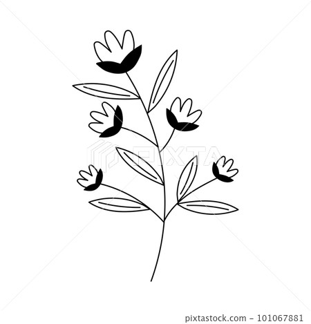 Hand drawn flower in line art doodle style. Botanical decorative element. 101067881