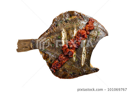 Grilled Flounder or plaice with tomato sauce on wooden cutting board. Isolated background Grilled Flounder or plaice with tomato sauce on wooden cutting board. Isolated background 101069767