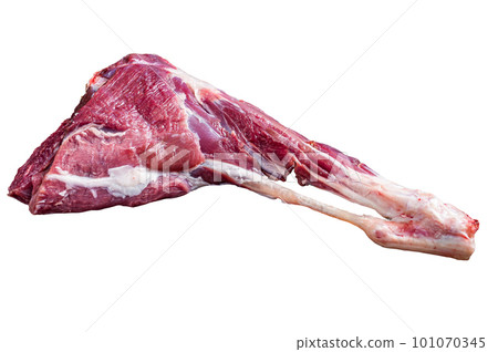 Whole raw lamb leg meat on the bone. Isolated on white background 101070345