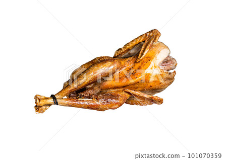 Roast guinea fowl with herbs and spices, cooked game bird. Isolated on white background. Roast guinea fowl with herbs and spices, cooked game bird. Isolated on white background. 101070359