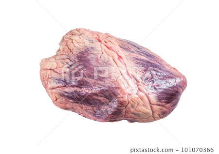 Beef or veal raw heart on a butcher table. Isolated on white background 101070366
