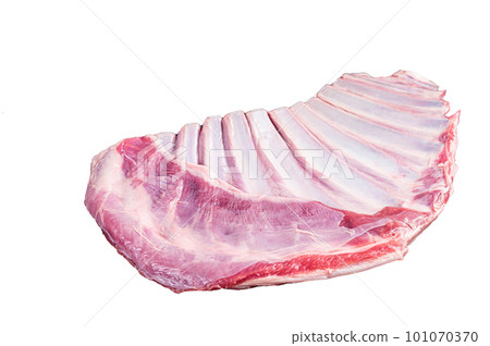 Rack of lamb, raw mutton ribs on kitchen table with spices. Isolated on white background. Rack of lamb, raw mutton ribs on kitchen table with spices. Isolated on white background. 101070370