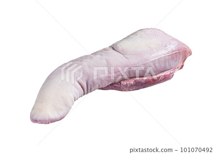Raw beef tongue on butcher table. Isolated on white background 101070492