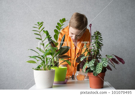 A cute boy is studying indoor green plants, caring for flowers. A cute boy is studying indoor green plants, caring for flowers. 101070495