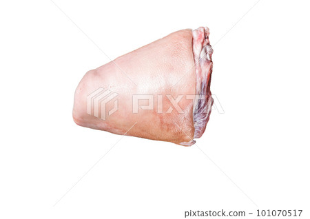 Raw pork ham hocks on a steel plate with herbs. Isolated on white background 101070517