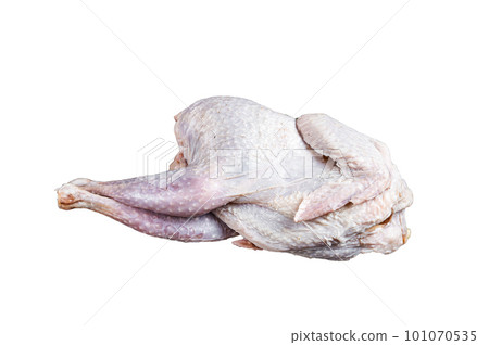 Raw Guineafowl, guinea fowl with herbs in steel tray. Isolated on white background. 101070535