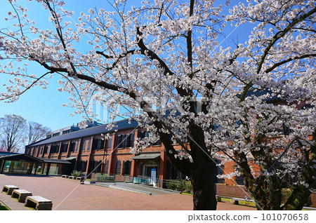 紅磚博物館 縣立歷史博物館 佐倉 金澤市 101070658