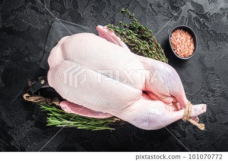 Fresh Raw whole duck with herbs and spices. Black background. Top view Fresh Raw whole duck with herbs and spices. Black background. Top view 101070772