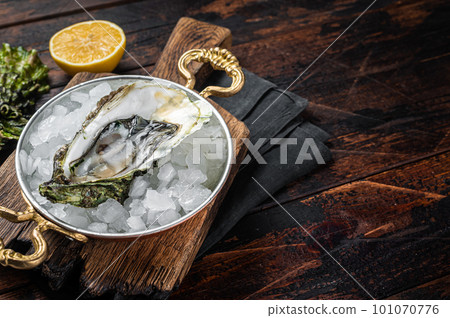 Appetizing raw oyster with ice cubes in a skillet . Wooden background. Top view. Copy space Appetizing raw oyster with ice cubes in a skillet . Wooden background. Top view. Copy space 101070776