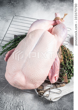 Ready for cooking whole duck with thyme and rosemary. Gray background. Top view 101070780
