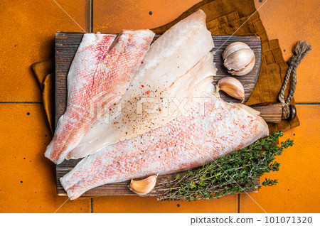 Uncooked ocean red perch fillet, redfish with herbs and spices. Orange background. Top view 101071320