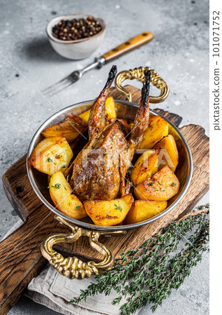 Oven baked quail with potatoes, spices and herbs in a skillet. Gray background. Top view 101071752