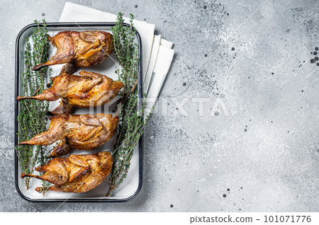 Homemade sticky Roast quails with spices and herbs in a baking dish. Gray background. Top view. Copy space Homemade sticky Roast quails with spices and herbs in a baking dish. Gray background. Top view. Copy space 101071776