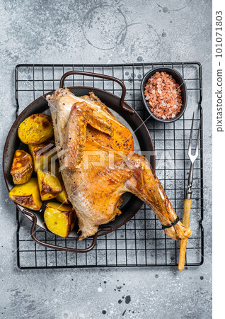 Baked Guineafowl, guinea fowl with potato in steel tray. Gray background. Top view Baked Guineafowl, guinea fowl with potato in steel tray. Gray background. Top view 101071803