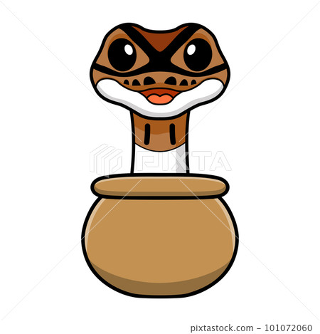 Cute pied ball python cartoon inside the sack 101072060