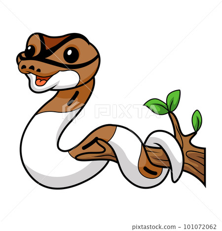 Cute pied ball python cartoon on tree branch 101072062