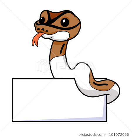 Cute pied ball python cartoon with blank sign 101072066