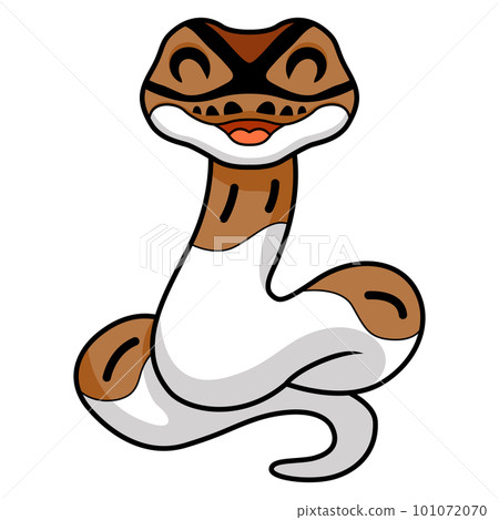 Cute pied ball python cartoon Cute pied ball python cartoon 101072070