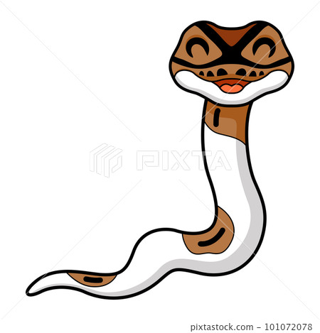 Cute pied ball python cartoon 101072078