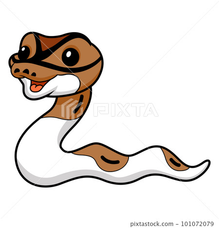 Cute pied ball python cartoon 101072079